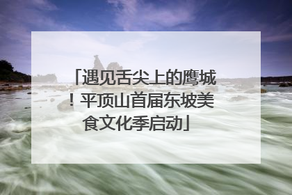 遇见舌尖上的鹰城！平顶山首届东坡美食文化季启动