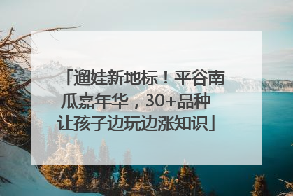 遛娃新地标！平谷南瓜嘉年华，30+品种让孩子边玩边涨知识