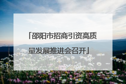 邵阳市招商引资高质量发展推进会召开