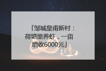 邹城皇甫新村：荷塘里养虾，一亩增收6000元