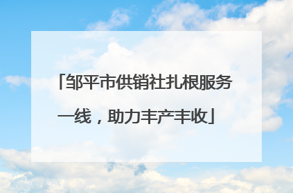 邹平市供销社扎根服务一线，助力丰产丰收
