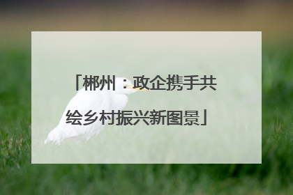 郴州：政企携手共绘乡村振兴新图景