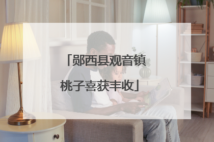 郧西县观音镇桃子喜获丰收