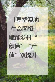 重塑湿地生命网络 赋能乡村“颜值”“产值”双提升