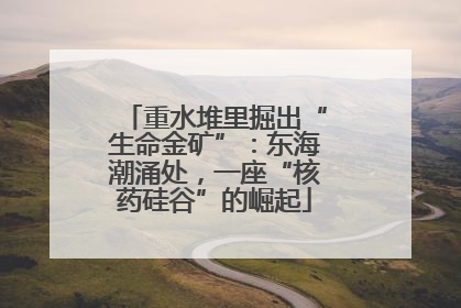 重水堆里掘出“生命金矿”：东海潮涌处，一座“核药硅谷”的崛起