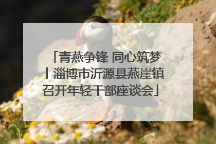 青燕争锋 同心筑梦丨淄博市沂源县燕崖镇召开年轻干部座谈会