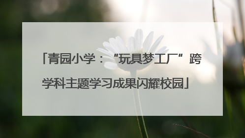 青园小学：“玩具梦工厂”跨学科主题学习成果闪耀校园