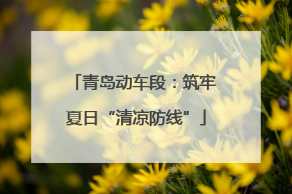 青岛动车段：筑牢夏日“清凉防线”