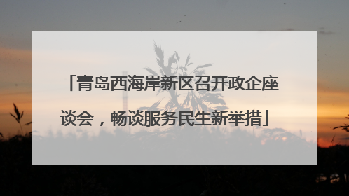 青岛西海岸新区召开政企座谈会，畅谈服务民生新举措