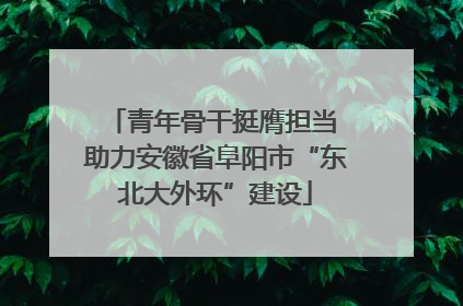 青年骨干挺膺担当 助力安徽省阜阳市“东北大外环”建设