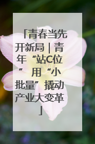 青春当先开新局｜青年“站C位” 用“小批量”撬动产业大变革