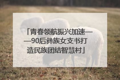 青春领航振兴加速——90后彝族女支书打造民族团结智慧村