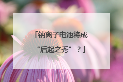钠离子电池将成“后起之秀”？