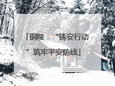 铜陵：“铸安行动”筑牢平安防线