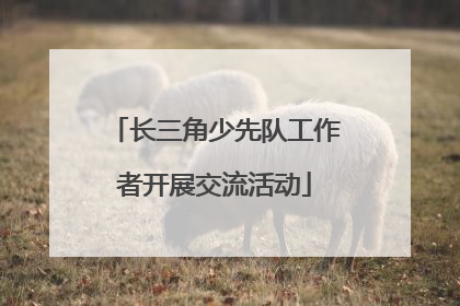 长三角少先队工作者开展交流活动