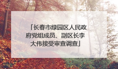 长春市绿园区人民政府党组成员、副区长李大伟接受审查调查