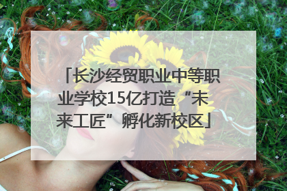 长沙经贸职业中等职业学校15亿打造“未来工匠”孵化新校区