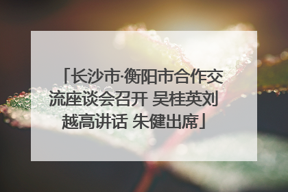 长沙市·衡阳市合作交流座谈会召开 吴桂英刘越高讲话 朱健出席
