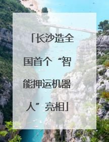 长沙造全国首个“智能押运机器人”亮相