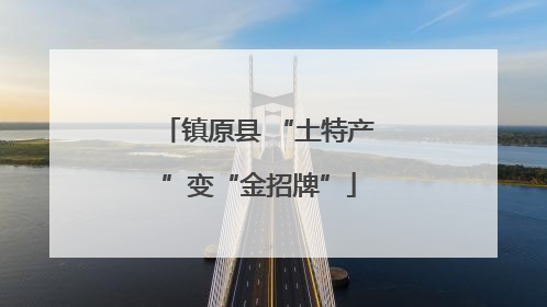镇原县 “土特产”变“金招牌”