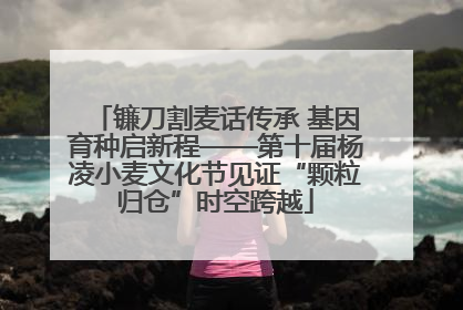 镰刀割麦话传承 基因育种启新程——第十届杨凌小麦文化节见证“颗粒归仓”时空跨越