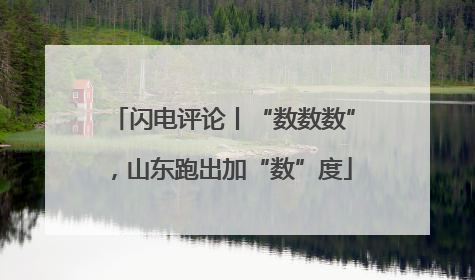 闪电评论丨“数数数”，山东跑出加“数”度