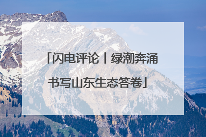 闪电评论丨绿潮奔涌 书写山东生态答卷