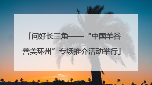 问好长三角——“中国羊谷 善美环州”专场推介活动举行
