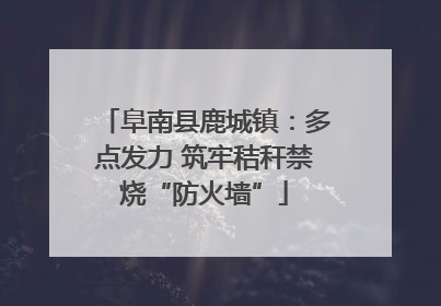 阜南县鹿城镇：多点发力 筑牢秸秆禁烧“防火墙”