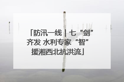 防汛一线｜七“剑”齐发 水利专家“智”援湘西北抗洪流