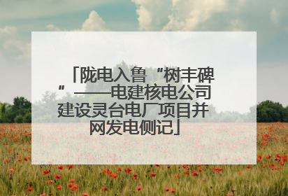 陇电入鲁“树丰碑”——电建核电公司建设灵台电厂项目并网发电侧记