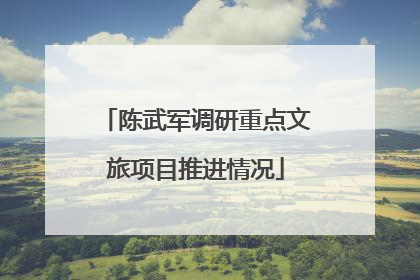陈武军调研重点文旅项目推进情况