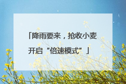 降雨要来，抢收小麦开启“倍速模式”