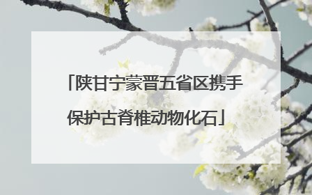 陕甘宁蒙晋五省区携手保护古脊椎动物化石