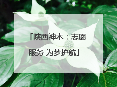 陕西神木：志愿服务 为梦护航