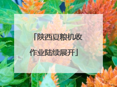 陕西夏粮机收作业陆续展开