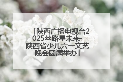 陕西广播电视台2025丝路星未来-陕西省少儿六一文艺晚会圆满举办