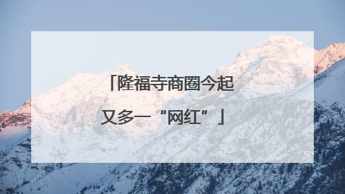 隆福寺商圈今起又多一“网红”