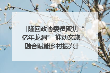 隆回政协委员聚焦“亿年龙洞” 推动文旅融合赋能乡村振兴
