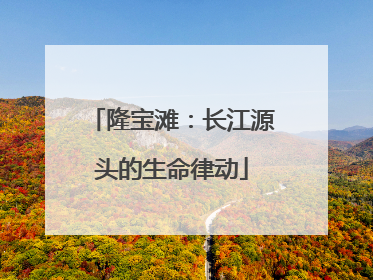 隆宝滩：长江源头的生命律动