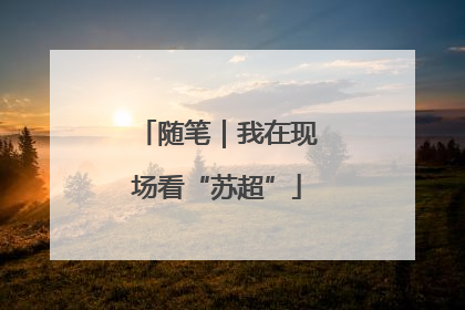 随笔｜我在现场看“苏超”