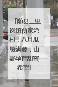 随县三里岗镇贾家湾村：八月瓜缀满藤，山野孕育甜蜜希望