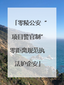 零陵公安“项目警官制”零距离规范执法护企安
