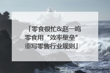零食很忙&赵一鸣零食用“效率壁垒”重写零售行业规则