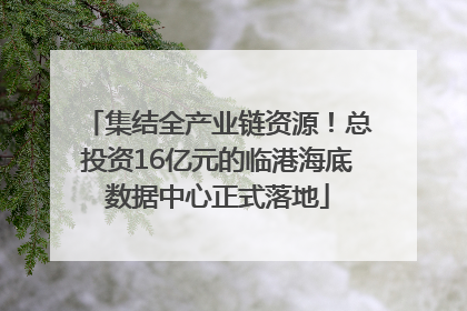 集结全产业链资源！总投资16亿元的临港海底数据中心正式落地