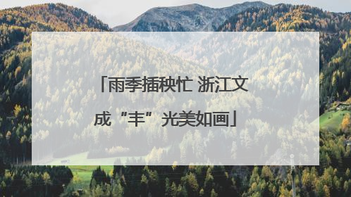 雨季插秧忙 浙江文成“丰”光美如画