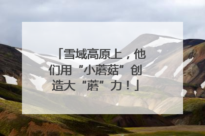雪域高原上，他们用“小蘑菇”创造大“蘑”力！