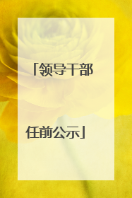 领导干部任前公示