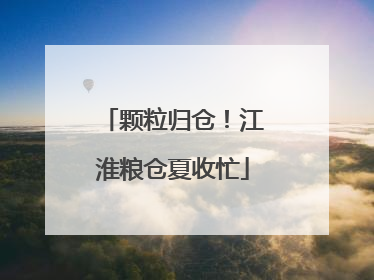 颗粒归仓！江淮粮仓夏收忙