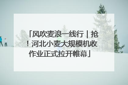 风吹麦浪一线行｜抢！河北小麦大规模机收作业正式拉开帷幕